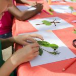 Homeschooling In New Zealand – A Day&hellip;